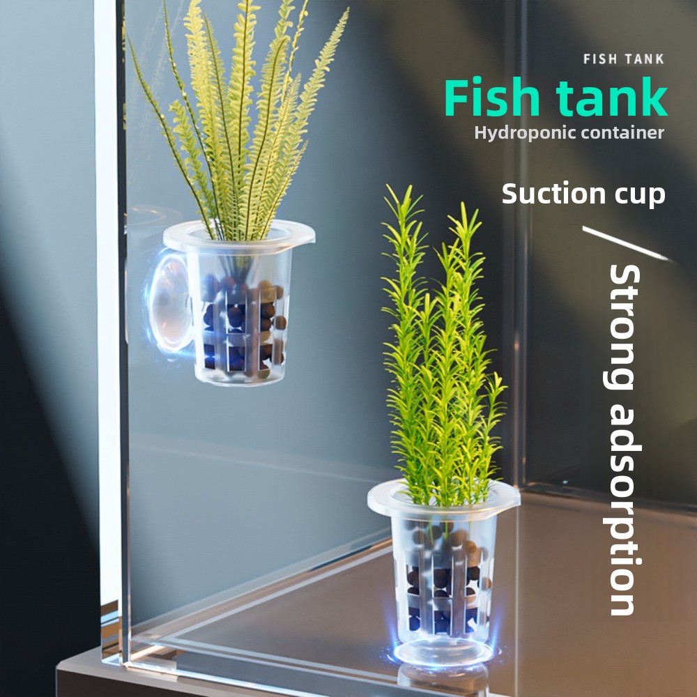 Aquarium Plants Live - 10 szt. Przezroczyste doniczki hydroponiczne z