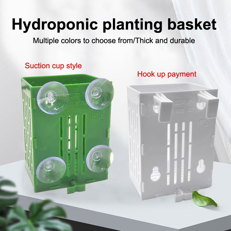 Aquarium Plant Holder - Wisząca przyssawka Hak Uchwyt na rośliny