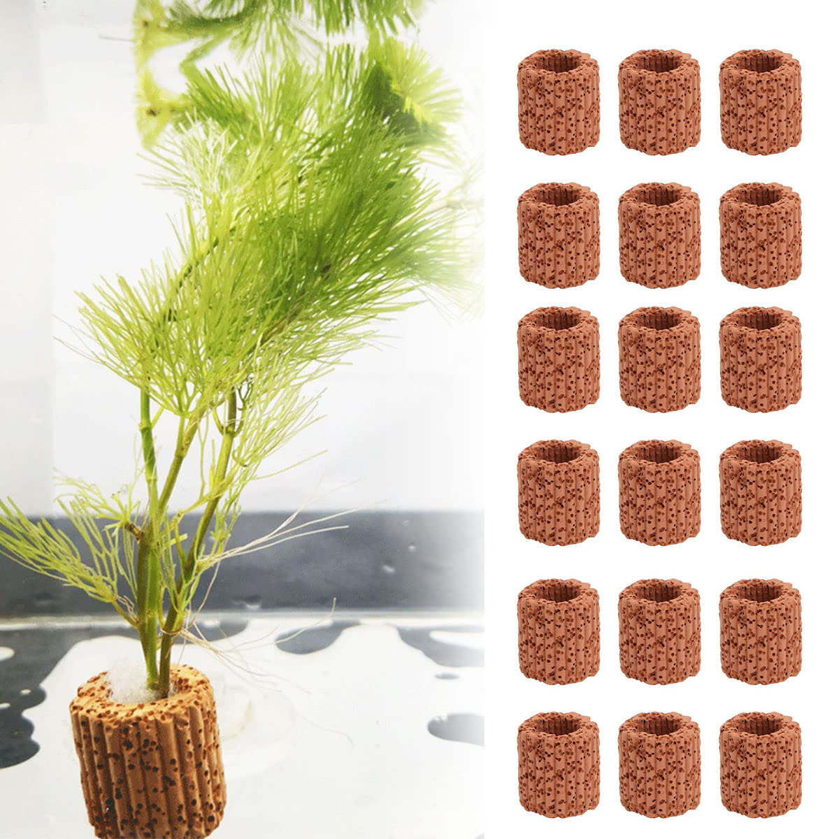 Plant Aquarium Pot - 10/20 szt. Podstawa zamontowany pierścień roślina