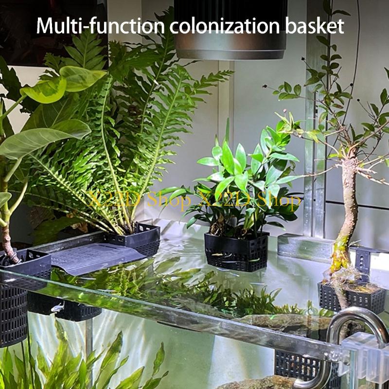 Aquarium Plant Holder - X22D Nowoczesny, starożytny styl Pionowy uchwyt