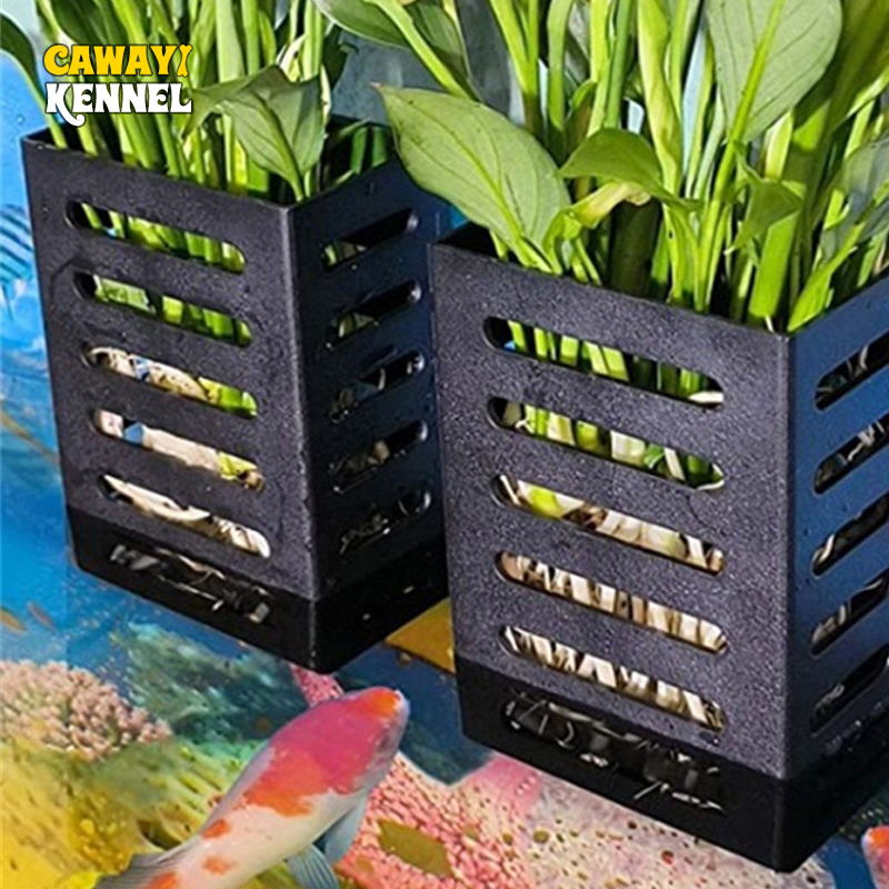 Aquarium Plants Live - Rybka domowa zbiornik dekoracje roślina akwariowa