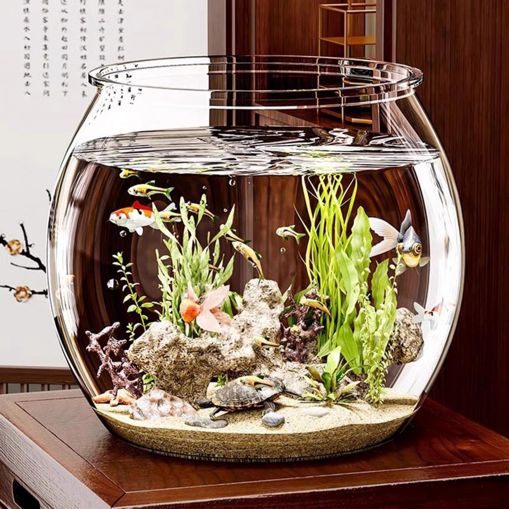 Plant Aquarium Pot - Okrągła, przezroczysta plastikowa akwarium w kształcie