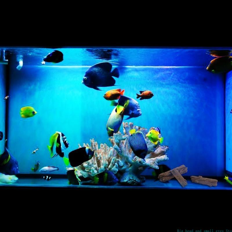 Dekoracja Akwarium Drzewo Plas – Aquarium Plant Substrate recenzja i cena