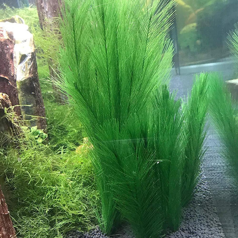 1/3 sztuk 28/40cm akwarium akw – Live Plant Aquarium recenzja i cena