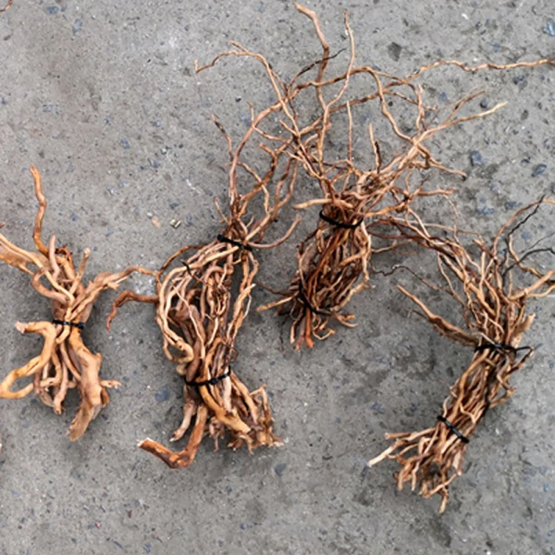 Naturalny korzeń drzewa z drew – Aquarium Driftwood recenzja i cena