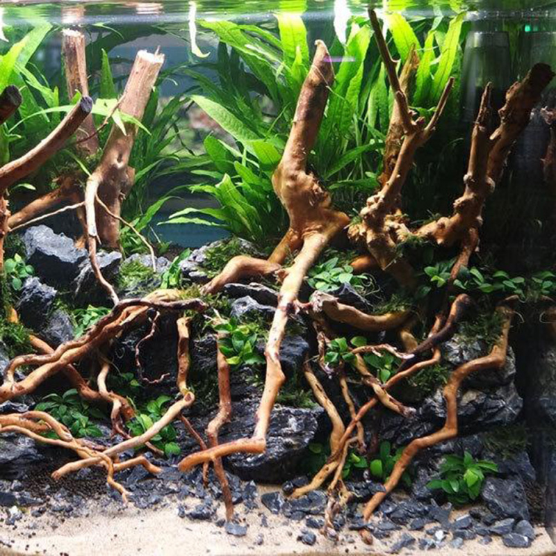 Naturalny korzeń drzewa z drew – Aquarium Driftwood recenzja i cena
