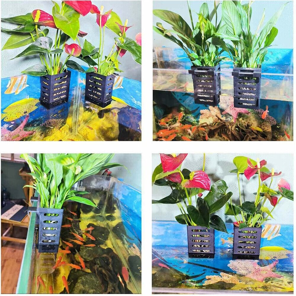 Uchwyt na rośliny akwariowe z  – Aquarium Plant Holder recenzja i cena