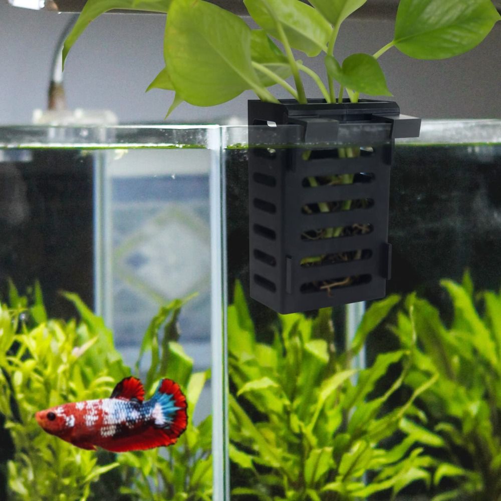 Uchwyt na rośliny akwariowe z  – Aquarium Plant Holder recenzja i cena