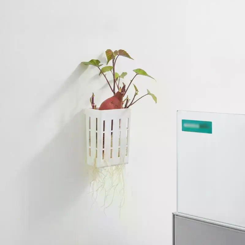1 szt. Koszyk wspierający do h – Planted Tank recenzja i cena