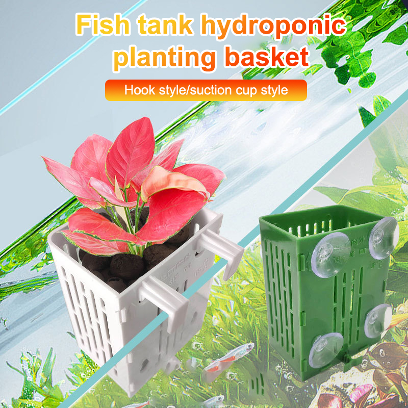 Wisząca przyssawka Hak Uchwyt  – Aquarium Plant Holder recenzja i cena