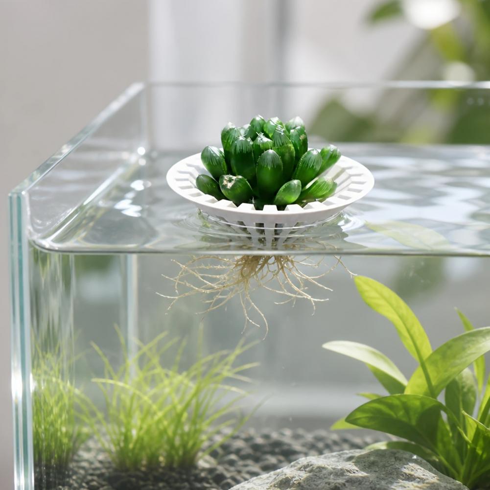 Akwarium Hydroponiczne, Płynąc – Aquarium Plant Holder recenzja i cena