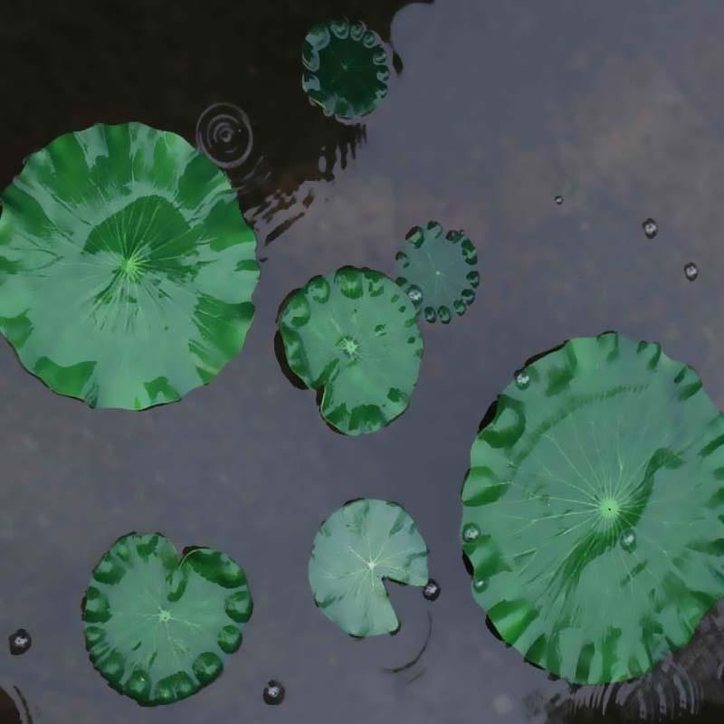 Sztuczne liście lotosu bez kwi – Aquarium Plant Substrate recenzja i cena