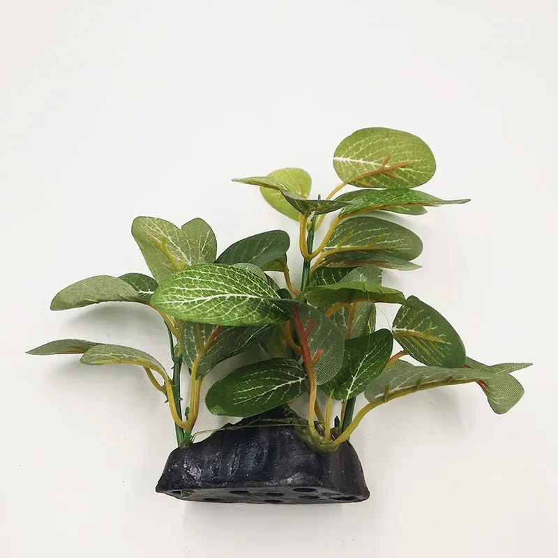 Nowa plastikowa dekoracja rośl – Aquarium Plants Live recenzja i cena