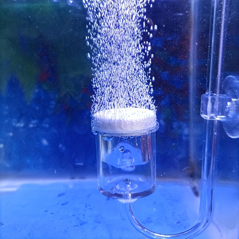 Szklany atomizer CO2 do akwari – Aquarium Liquid Carbon recenzja i cena