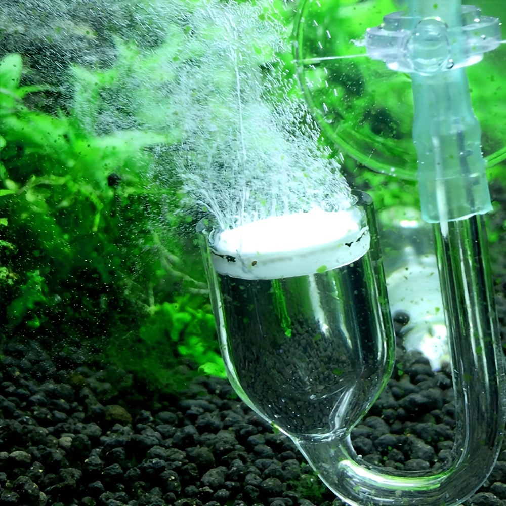 Szklany atomizer CO2 do akwari – Aquarium Liquid Carbon recenzja i cena