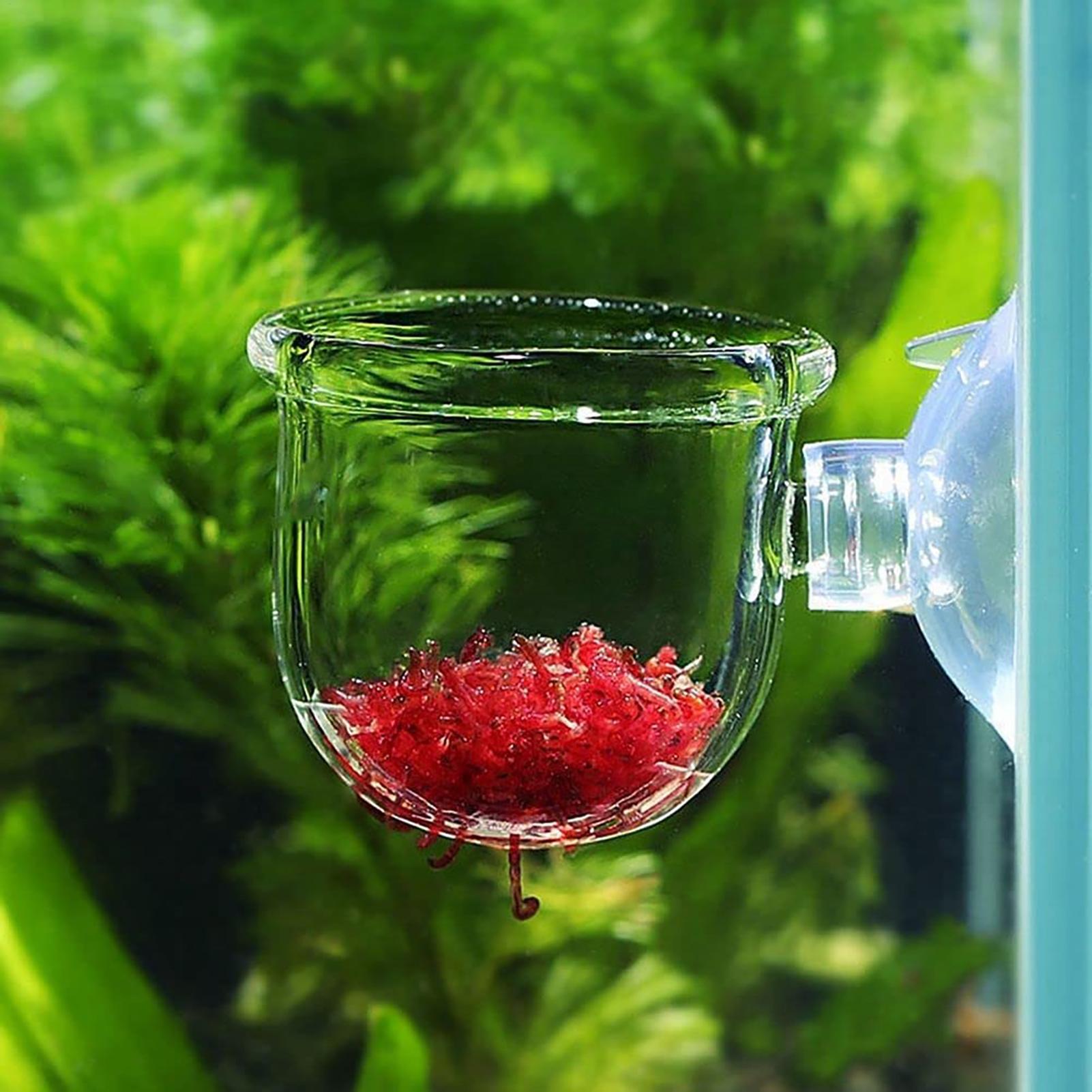 Akrylowy doniczka na rośliny d – Plant Aquarium Pot recenzja i cena