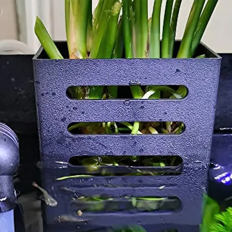 Rybka domowa zbiornik dekoracj – Aquarium Plants Live recenzja i cena