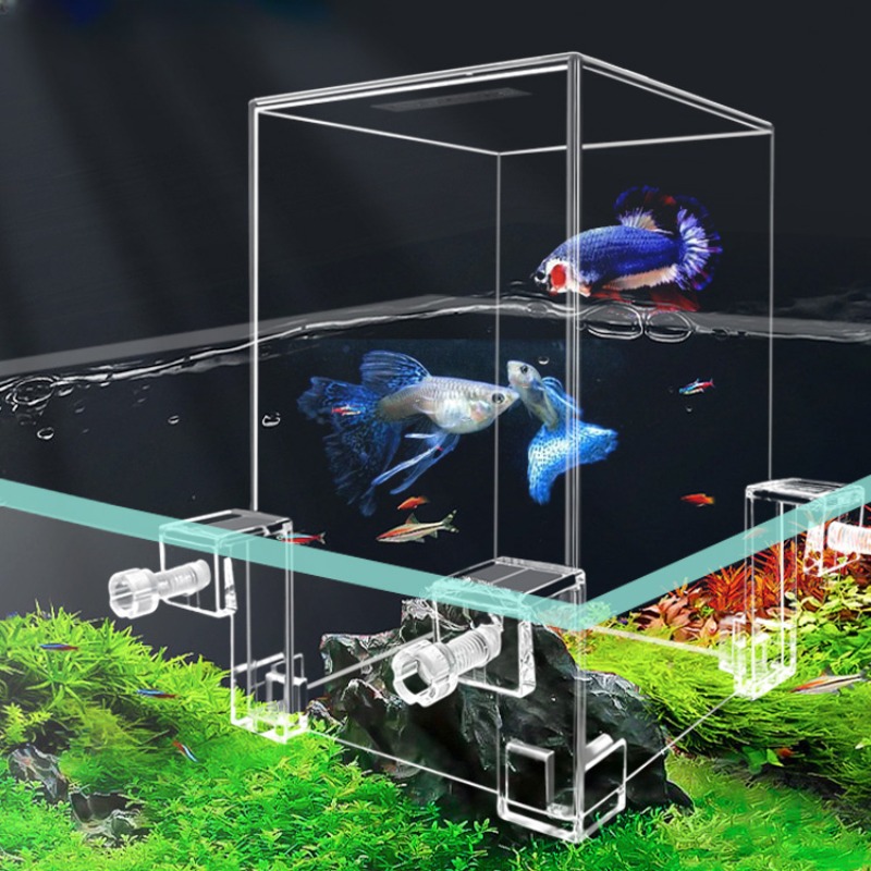 Kreatywne akwarium zbiorniki n – Plant Aquarium Pot recenzja i cena