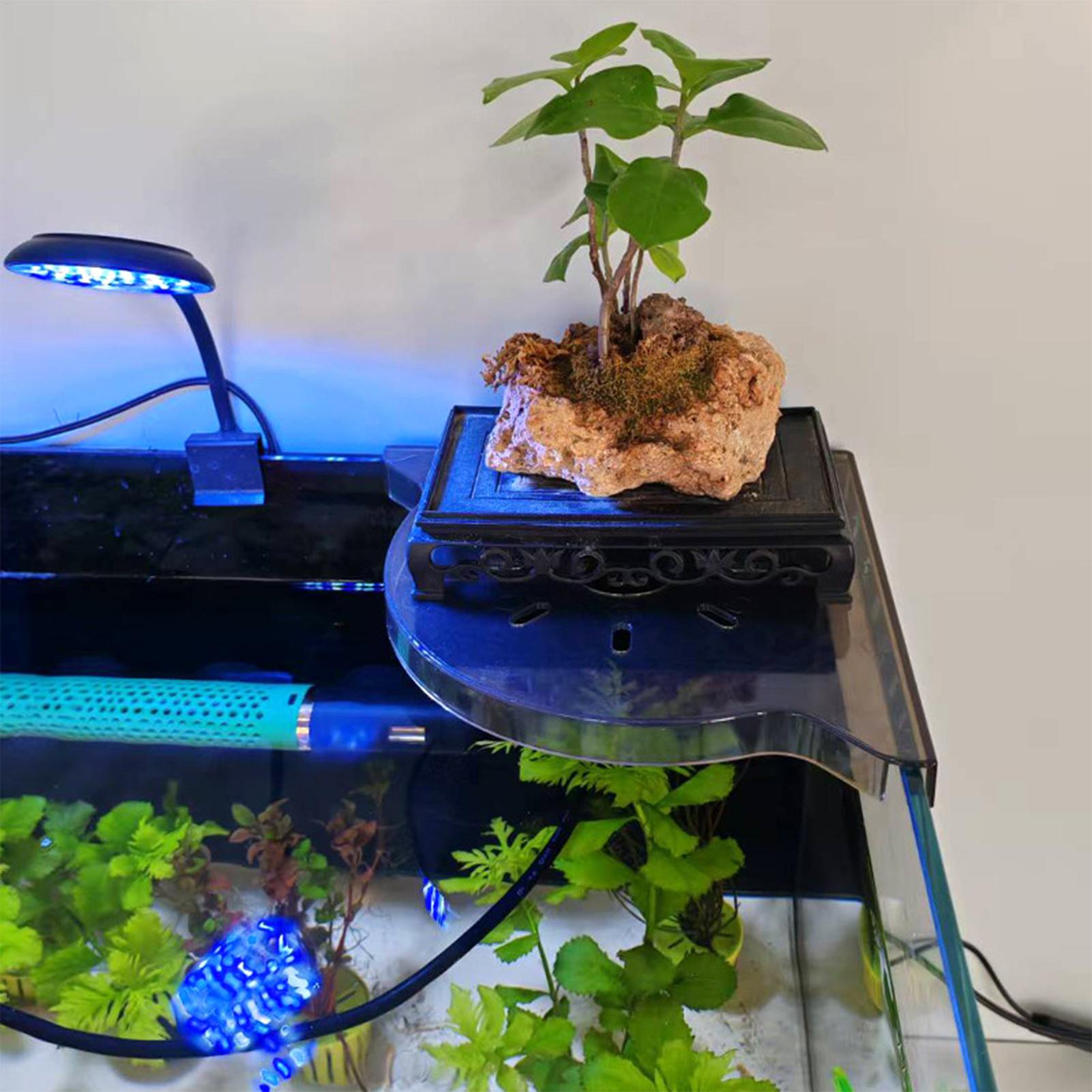 Trójkątny narożny regał do akw – Aquarium Plant Holder recenzja i cena
