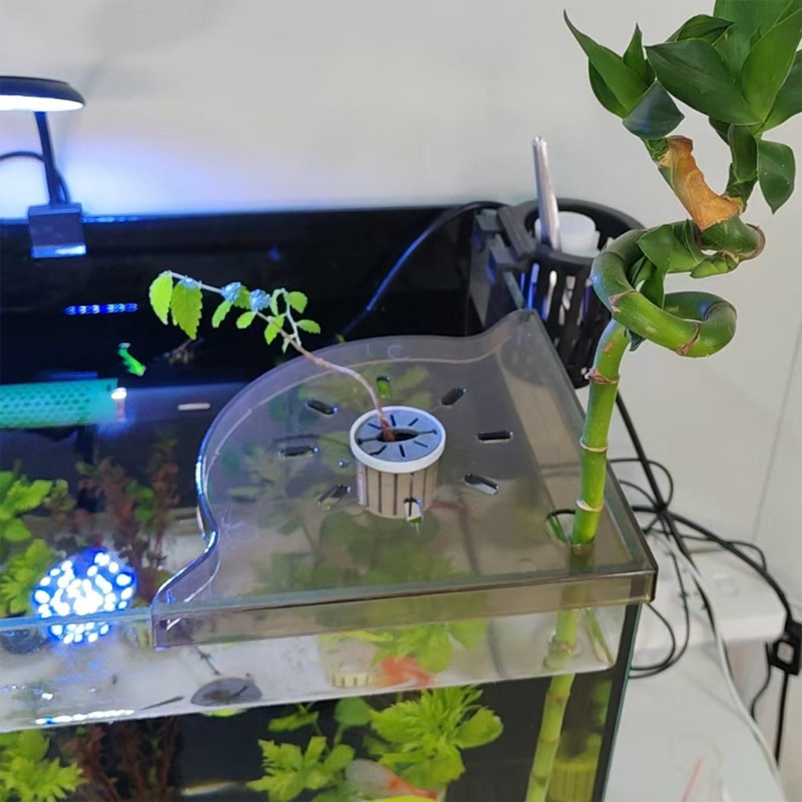 Trójkątny narożny regał do akw – Aquarium Plant Holder recenzja i cena