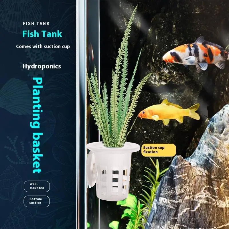 10/20/30 szt. plastikowych kub – Aquarium Plants Live recenzja i cena