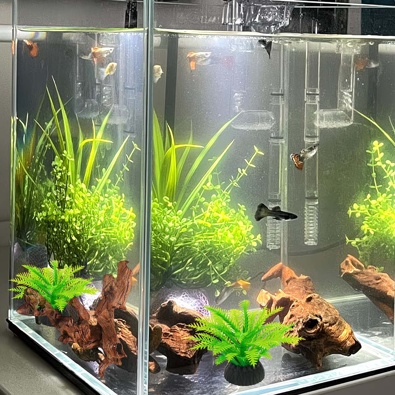 Dekoracja do akwarium z natura – Aquarium Driftwood recenzja i cena