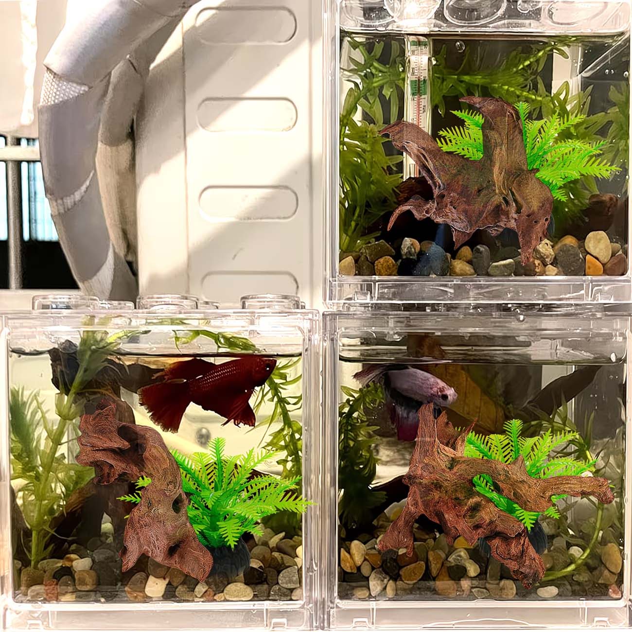 Dekoracja do akwarium z natura – Aquarium Driftwood recenzja i cena