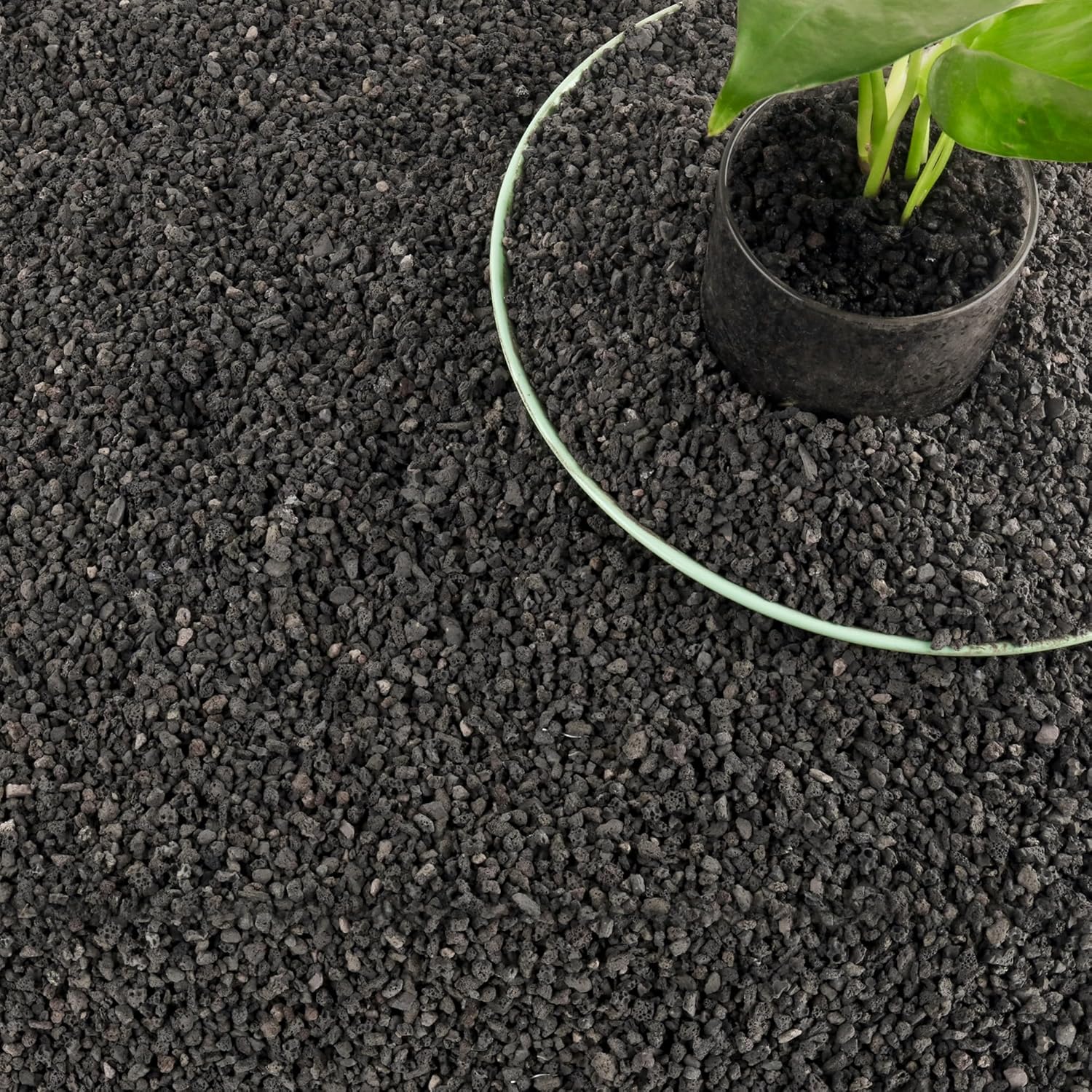 3 funty czarnego materiału fil – Plant Aquarium Pot recenzja i cena