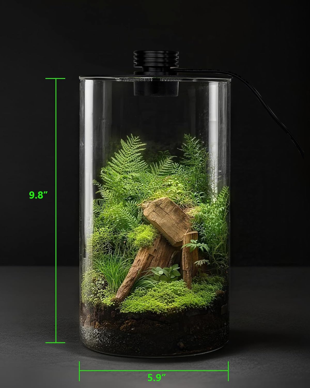 Szklane terrarium wewnętrzne z – Planted Tank recenzja i cena