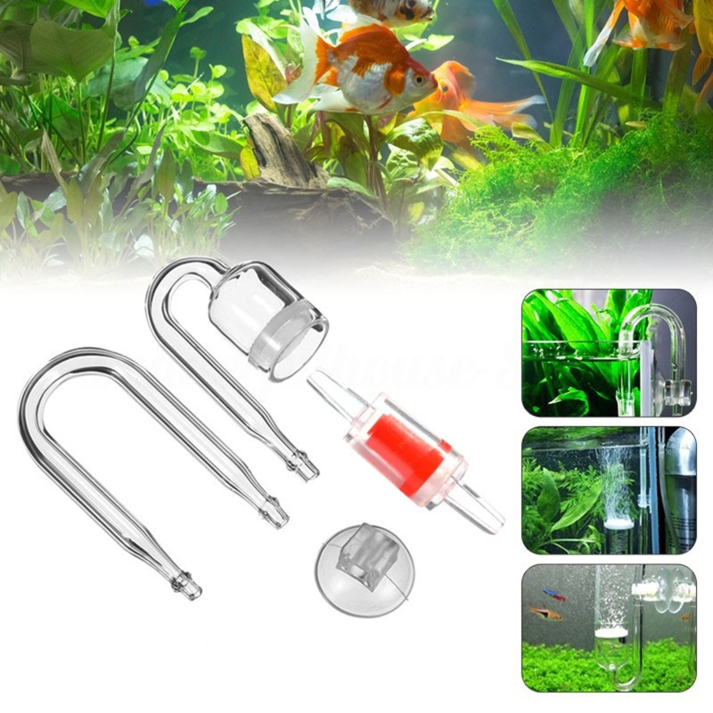 4szt Zestaw DIY Dyfuzor CO2 do – Aquarium Plants Live recenzja i cena