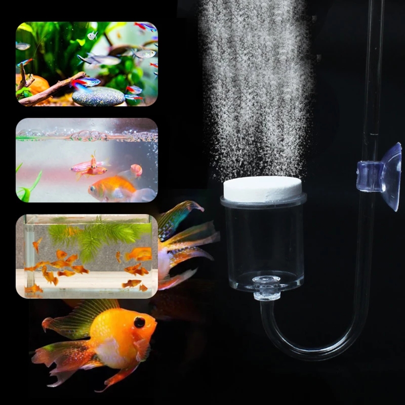 4szt Zestaw DIY Dyfuzor CO2 do – Aquarium Plants Live recenzja i cena