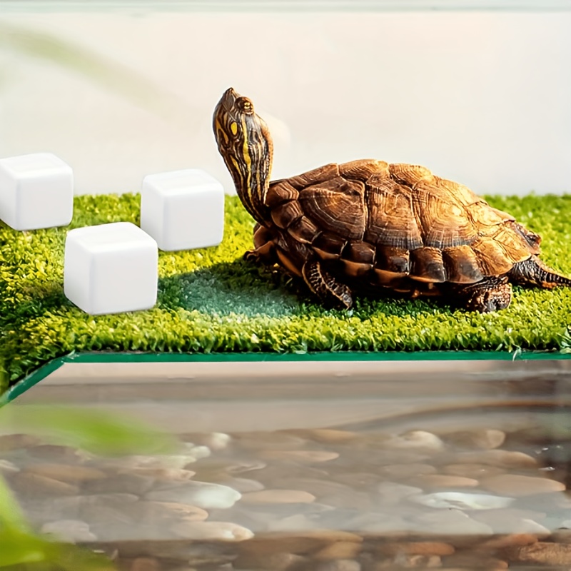 6 szt. bloków wapniowych do ak – Aquarium Plants Live recenzja i cena