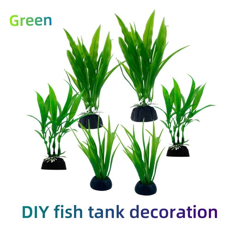 6 sztuk w opakowaniu – rośliny – Aquarium Plants Live recenzja i cena