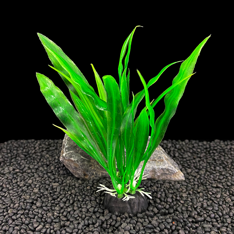 6 sztuk w opakowaniu – rośliny – Aquarium Plants Live recenzja i cena