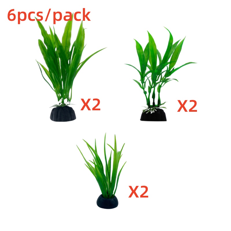 6 sztuk w opakowaniu – rośliny – Aquarium Plants Live recenzja i cena